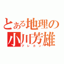 とある地理の小川芳雄（プレカン）