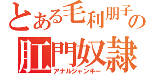 とある毛利朋子の肛門奴隷（アナルジャンキー）