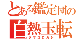 とある鑑定団の白熱玉転（タマコロガシ）