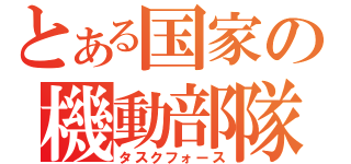 とある国家の機動部隊（タスクフォース）