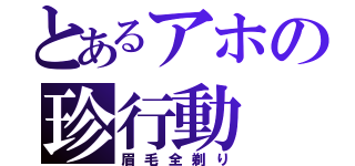 とあるアホの珍行動（眉毛全剃り）