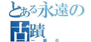 とある永遠の古蹟（一級の）