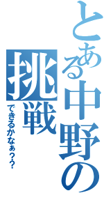 とある中野の挑戦（できるかなぁ？？）