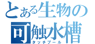 とある生物の可触水槽（タッチプール）