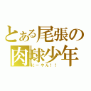 とある尾張の肉球少年（にーやん！！）