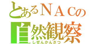 とあるＮＡＣの自然観察（しぜんかんさつ）