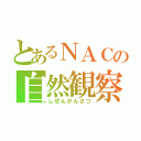 とあるＮＡＣの自然観察（しぜんかんさつ）