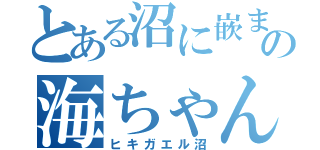 とある沼に嵌まるの海ちゃん（ヒキガエル沼）