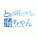 とある沼に嵌まるの海ちゃん（ヒキガエル沼）