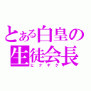 とある白皇の生徒会長（ヒナギク）