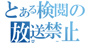 とある検閲の放送禁止用語（ぴー）