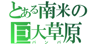 とある南米の巨大草原（パンパ）