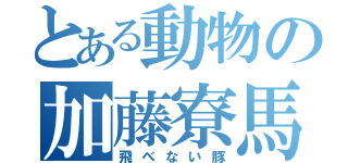 とある動物の加藤寮馬（飛べない豚）