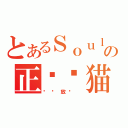 とあるＳｏｕｌの正义蓝猫（华丽放纵 ）