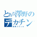 とある澤野のデカチンコ（全長３０ｃｍ）