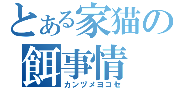 とある家猫の餌事情（カンヅメヨコセ）