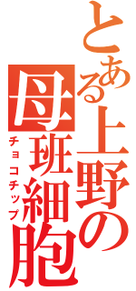 とある上野の母班細胞（チョコチップ）