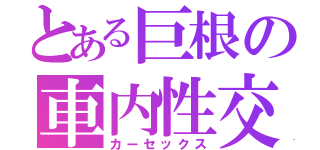 とある巨根の車内性交（カーセックス）