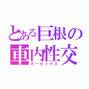 とある巨根の車内性交（カーセックス）