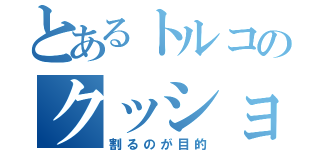 とあるトルコのクッション（割るのが目的）