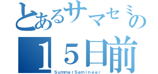 とあるサマセミの１５日前（ＳｕｍｍｅｒＳｅｍｉｎｅｅｒ）