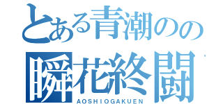 とある青潮のの瞬花終闘（ＡＯＳＨＩＯＧＡＫＵＥＮ）