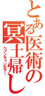 とある医術の冥土帰し（ヘブンキャンセラー）