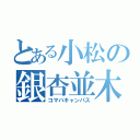 とある小松の銀杏並木（コマバキャンパス）