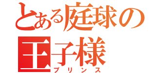 とある庭球の王子様（プリンス）