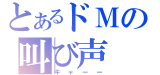 とあるドＭの叫び声（キャーー）