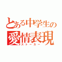 とある中学生の愛情表現（ストーカー）