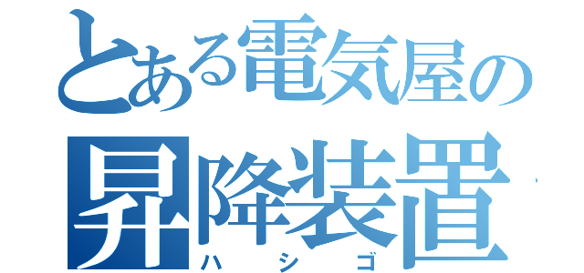 とある電気屋の昇降装置（ハシゴ）