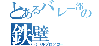 とあるバレー部の鉄壁（ミドルブロッカー）