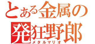 とある金属の発狂野郎（メタルマリオ）