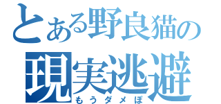 とある野良猫の現実逃避（もうダメぽ）