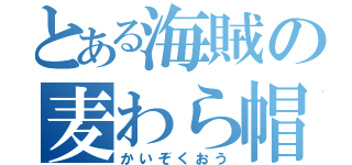 とある海賊の麦わら帽子（かいぞくおう）