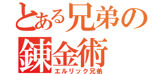 とある兄弟の錬金術（エルリック兄弟）