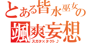 とある皆水巫女の颯爽妄想！（スガタ×タクト♪）