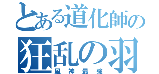 とある道化師の狂乱の羽（風神最強）