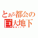 とある都会の巨大地下網（東京メトロ）