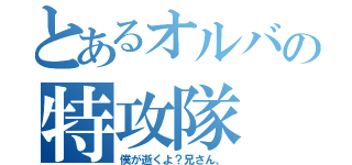 とあるオルバの特攻隊（僕が逝くよ？兄さん、）