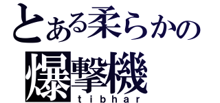 とある柔らかの爆撃機（ｔｉｂｈａｒ）