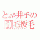 とある井手の剛毛腰毛（ギャラドゥー）