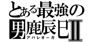 とある最強の男鹿辰巳Ⅱ（アバレオーガ）