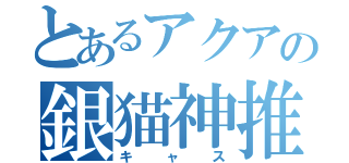 とあるアクアの銀猫神推（キャス）