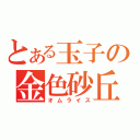 とある玉子の金色砂丘（オムライス）