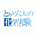 とある穴太の化学実験（アナル拡張）