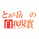 とある岳の自我現實（ｎｏ ｃａｔｃｈ）