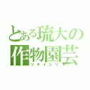 とある琉大の作物園芸（ツチイジリ）