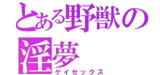 とある野獣の淫夢（ゲイセックス）